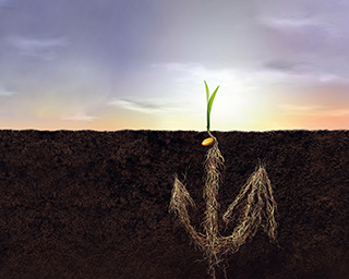 怎样从模糊开始