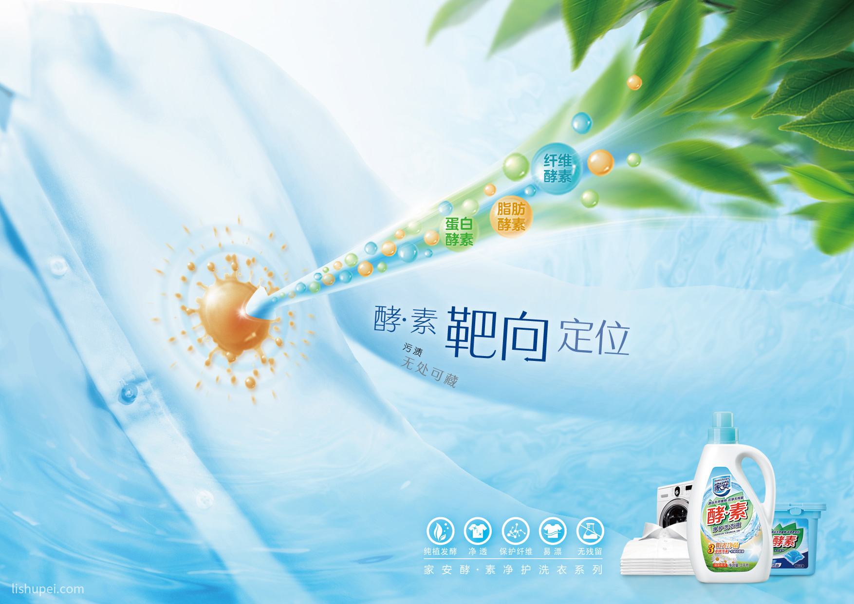 家安KV靶向篇
