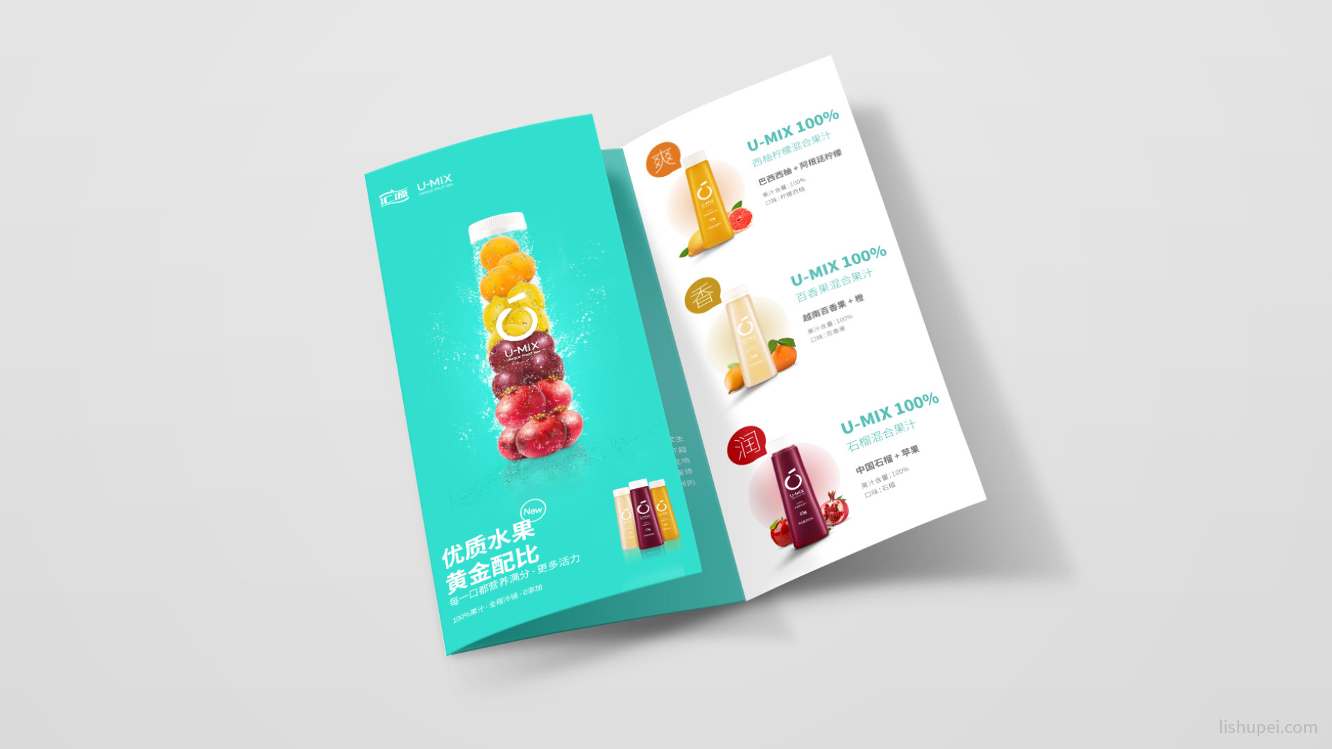 汇源FC折页效果图